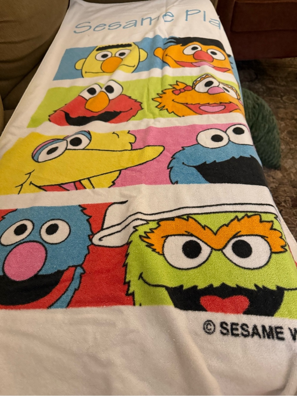 Sesame Street Character Panel Beach Towel - Colorful Muppet Faces